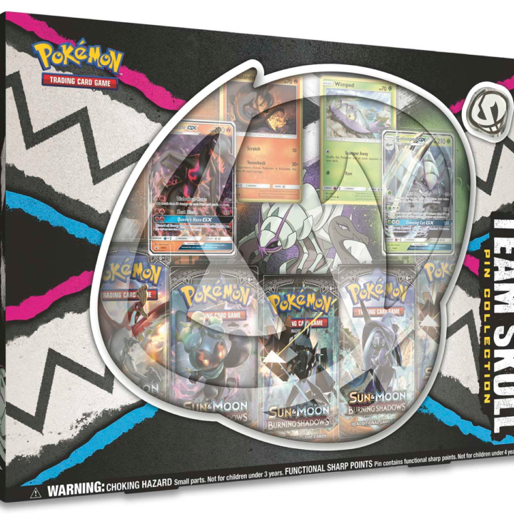 Pokémon Pin Collection (Team Skull)