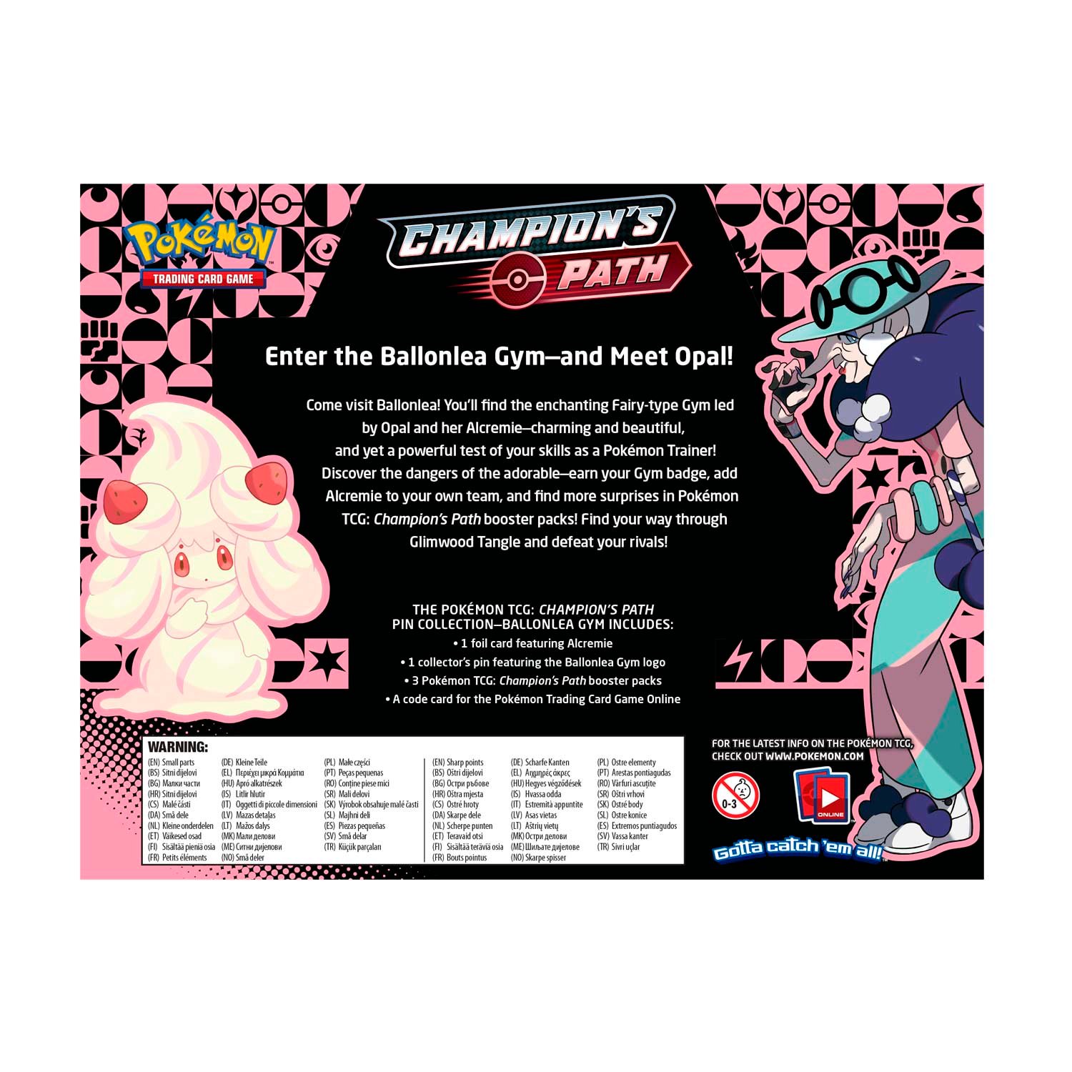 Pokémon Champion's Path - Pin Collection (Ballonlea Gym) - Image 2